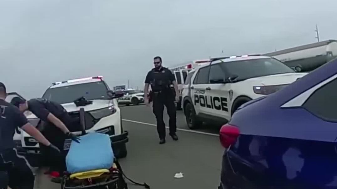 Tire Blowout, Carjacking Attempt & Nowhere to Run! 😂🚔 | I-5 Pursuit Goes Completely Sideways